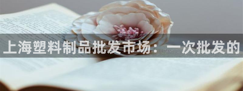 太阳诚集团下载：上海塑料制品批发市场：一次批发的