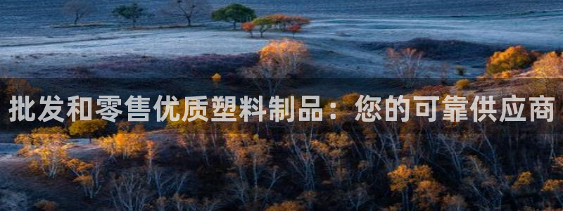 太阳游戏汉化：批发和零售优质塑料制品：您的可靠供应商