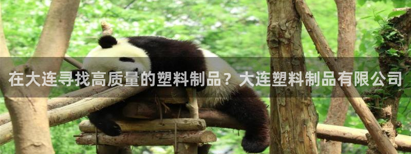 太阳gg娱乐胺44262：在大连寻找高质量的塑料制品？大连塑