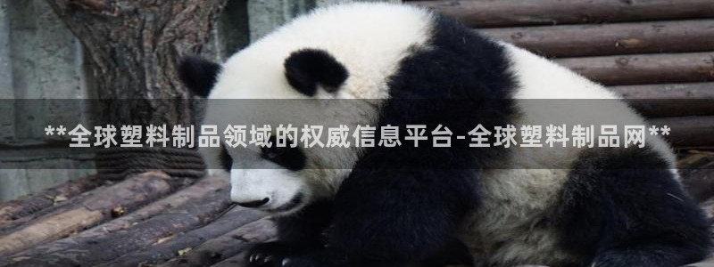 太阳sun网站：**全球塑料制品领域的权威信息平台-全球塑料