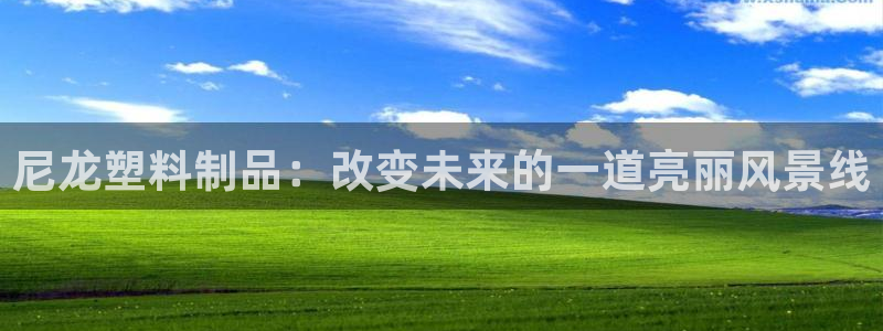 太阳集团所有网址16877：尼龙塑料制品：改变未来的一道亮丽