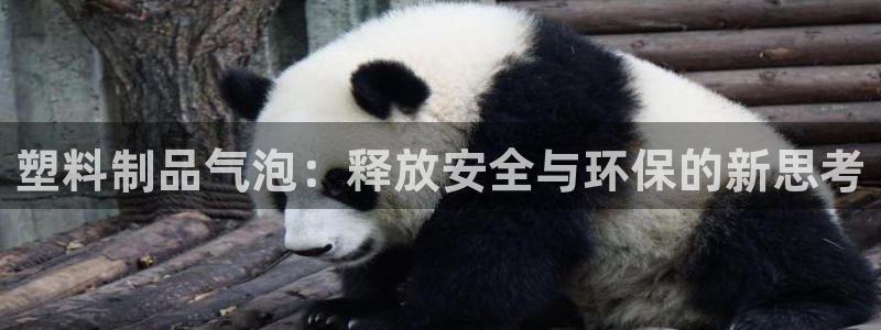 太阳gg登录地址：塑料制品气泡：释放安全与环保的新思考