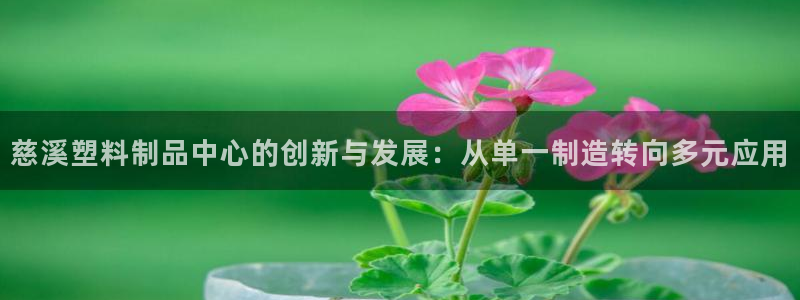 太阳电玩城下载：慈溪塑料制品中心的创新与发展：从单一制造转向