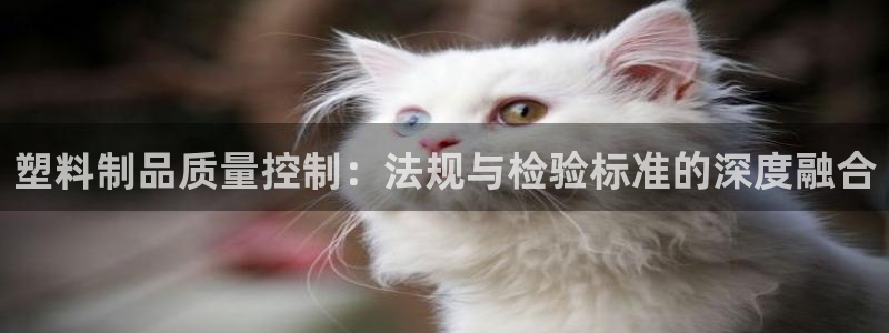 太阳集团公司董事长：塑料制品质量控制：法规与检验标准的深度融