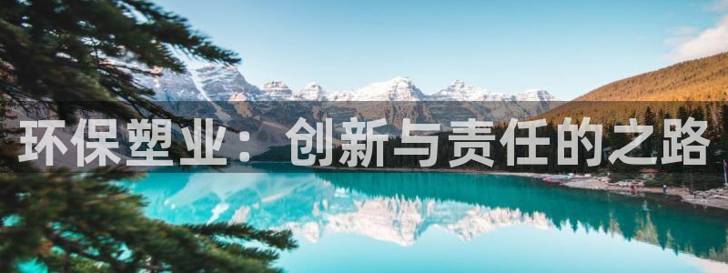 太阳诚集团：环保塑业：创新与责任的之路