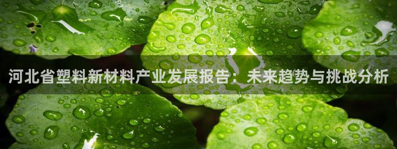 太阳成集团tyc7111cc下载手机版：河北省塑料新材料产业