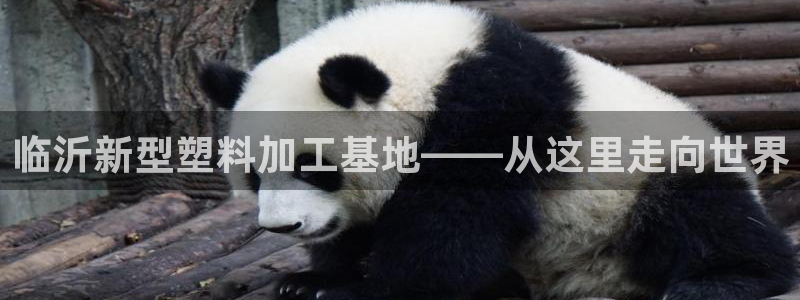 太阳集团唯一值得信赖网站是什么：临沂新型塑料加工基地——从这