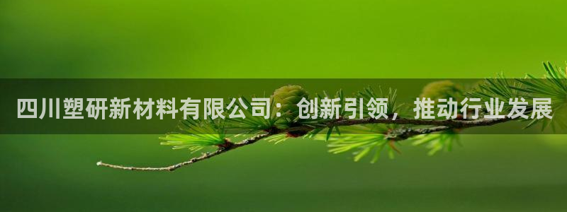 太阳游戏城：四川塑研新材料有限公司：创新引领，推动行业发展