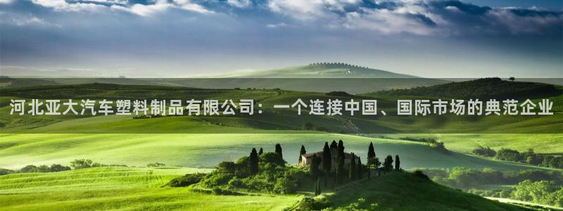 太阳appvip：河北亚大汽车塑料制品有限公司：一个连接中国