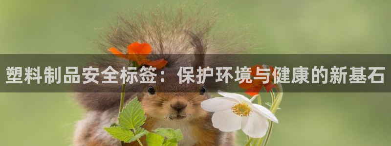 太阳集团网站入口官网首页：塑料制品安全标签：保护环境与健康的