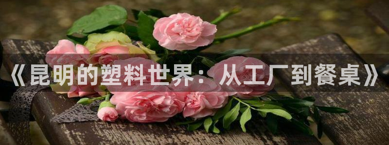太阳股份有限公司：《昆明的塑料世界：从工厂到餐桌》