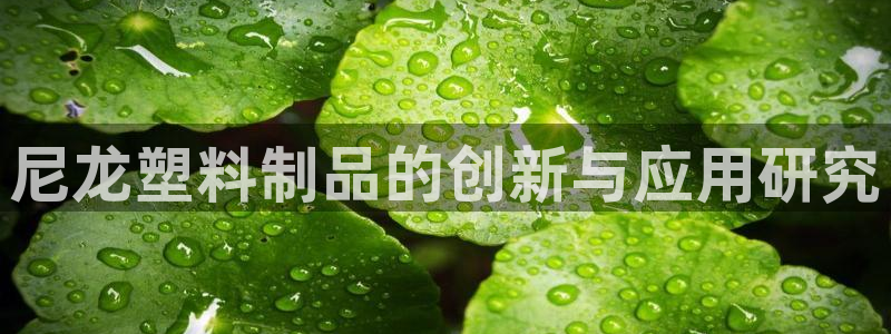 太阳成集团tyc7111cc电影：尼龙塑料制品的创新与应用研