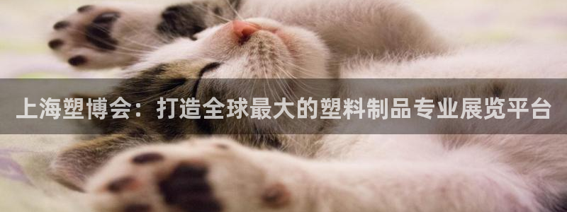 8827太阳集团官网：上海塑博会：打造全球最大的塑料制品专业
