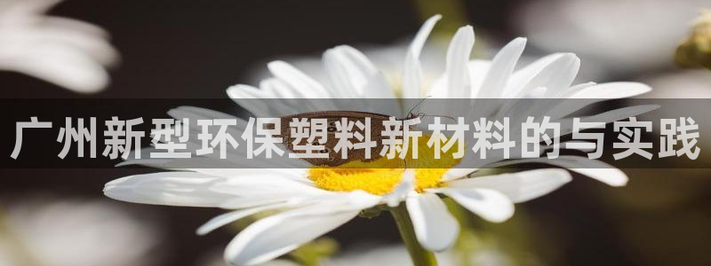 太阳集团娱乐官方网站：广州新型环保塑料新材料的与实践