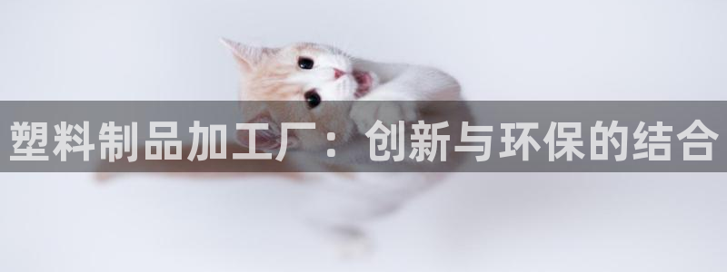 太阳成集团app下载：塑料制品加工厂：创新与环保的结合