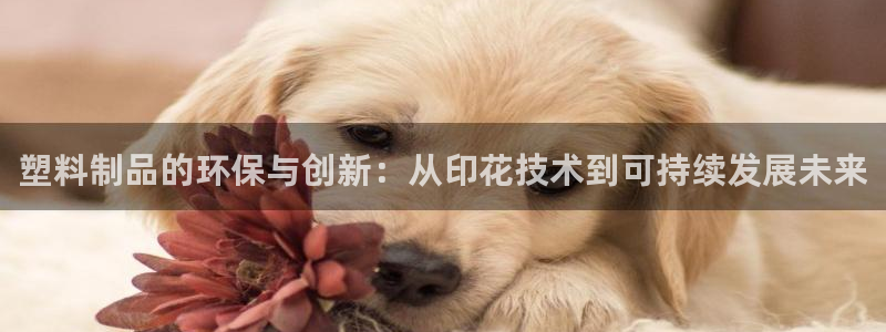 太阳成集团tyc234cc[主页]网址振兴：塑料制品的环保与