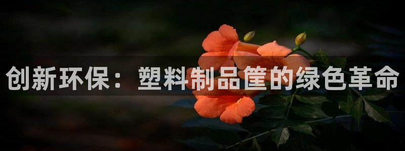 太阳 官网：创新环保：塑料制品筐的绿色革命