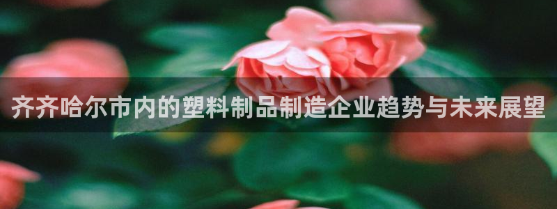 奥门太阳集团城：齐齐哈尔市内的塑料制品制造企业趋势与未来展望