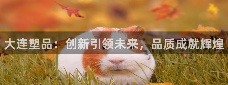 太阳集团地址：大连塑品：创新引领未来，品质成就辉煌