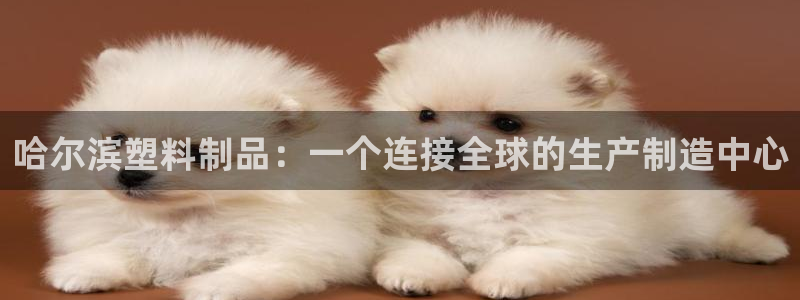 太阳成集团古天乐：哈尔滨塑料制品：一个连接全球的生产制造中心