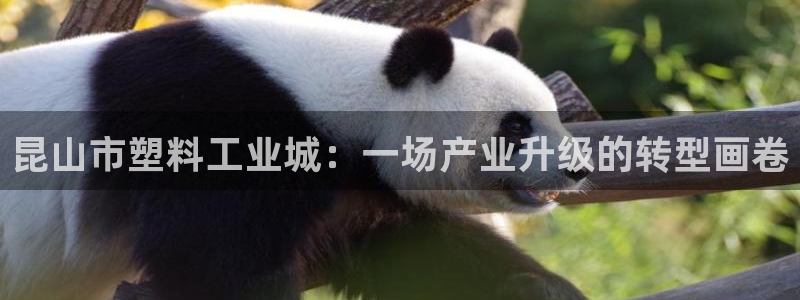 太阳集团tcy8722查封了：昆山市塑料工业城：一场产业升级