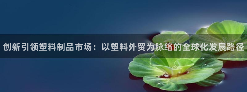 44118太阳成城集团：创新引领塑料制品市场：以塑料外贸为脉