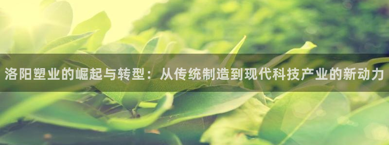 122cc太阳集成游戏官方网站版：洛阳塑业的崛起与转型：从传