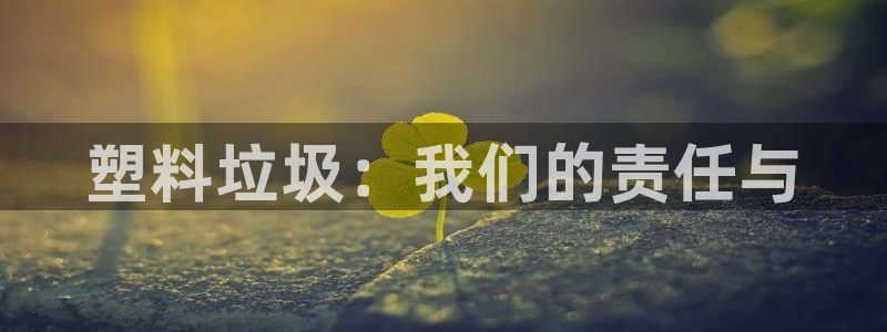 太阳集团tcy8722电子游戏：塑料垃圾：我们的责任与
