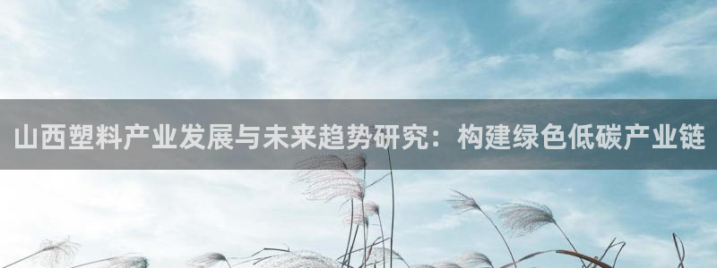 太阳诚集团所有网站：山西塑料产业发展与未来趋势研究：构建绿色