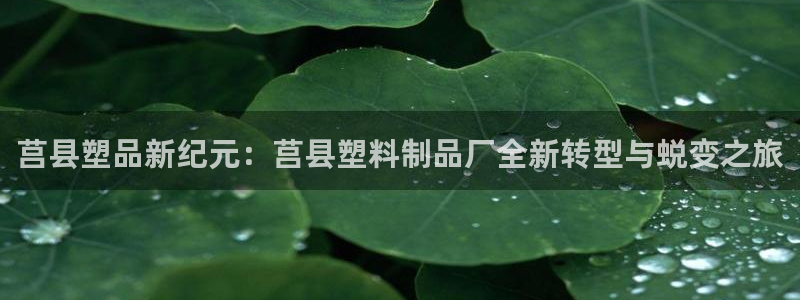 太阳gg官网登录：莒县塑品新纪元：莒县塑料制品厂全新转型与蜕