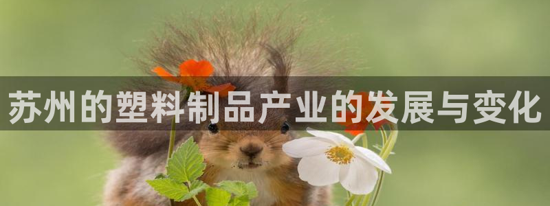 太阳诚集团在线：苏州的塑料制品产业的发展与变化