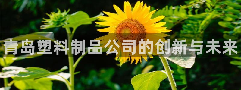 太阳集团是什么平台?：青岛塑料制品公司的创新与未来