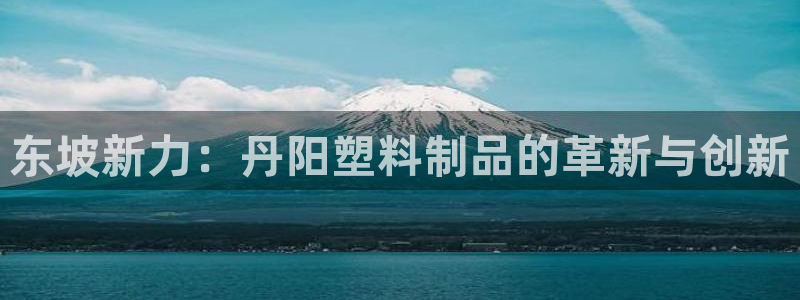 太阳集团网址：东坡新力：丹阳塑料制品的革新与创新