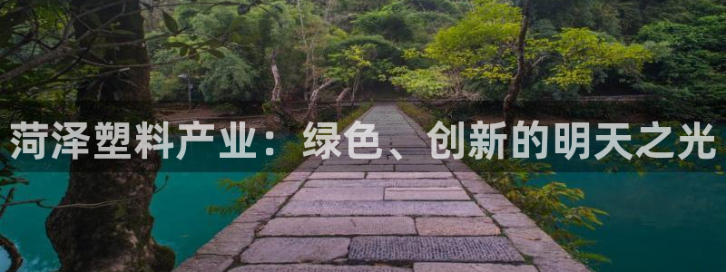 太阳集团网站入口官网下载：菏泽塑料产业：绿色、创新的明天之光