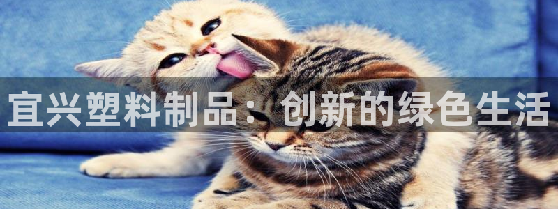 太阳app怎么下载：宜兴塑料制品：创新的绿色生活