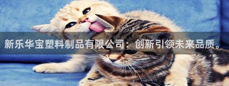 太阳诚集团：新乐华宝塑料制品有限公司：创新引领未来品质。
