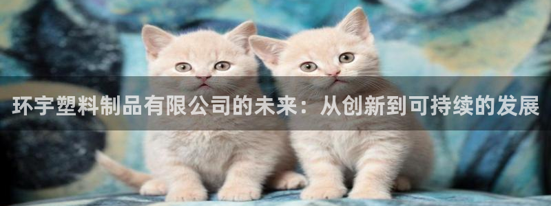 太阳app网页版：环宇塑料制品有限公司的未来：从创新到可持续