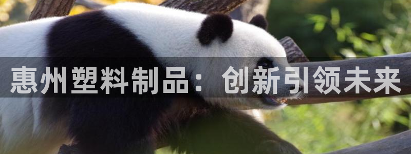 太阳成集团tyc234cc[主页]振：惠州塑料制品：创新引领