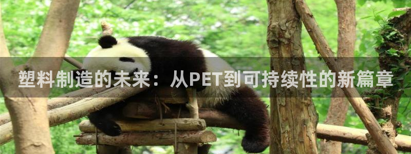 古天乐 太阳灯：塑料制造的未来：从PET到可持续性的新篇章