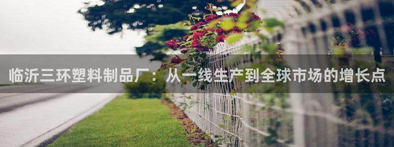 44118太阳成城集团：临沂三环塑料制品厂：从一线生产到全球