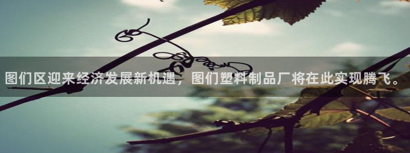 太阳成集团tyc7111cc电影：图们区迎来经济发展新机遇，