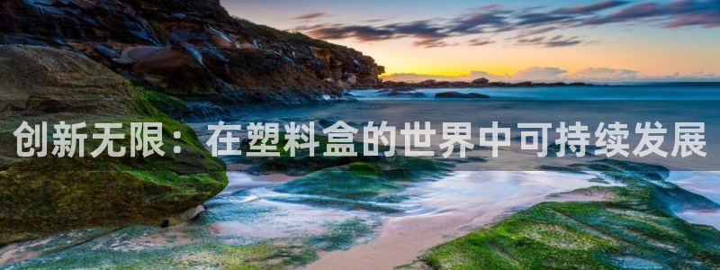 太阳成集团tyc234cc[主页]振：创新无限：在塑料盒的世