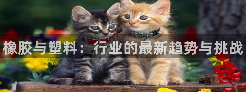 太阳gg登录地址：橡胶与塑料：行业的最新趋势与挑战