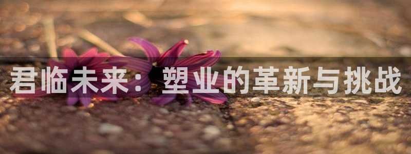 太阳集团网站入口官网下载：君临未来：塑业的革新与挑战