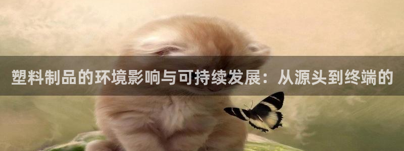 2018太阳集团游戏网站：塑料制品的环境影响与可持续发展：从