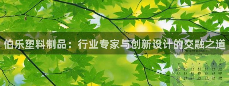 太阳集团是什么电视剧：伯乐塑料制品：行业专家与创新设计的交融