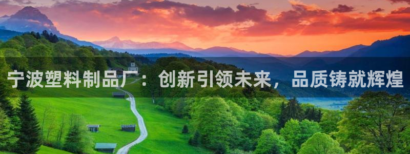 太阳集团董事长的儿子：宁波塑料制品厂：创新引领未来，品质铸就